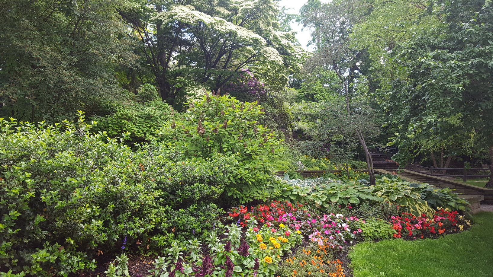 Floral Beds