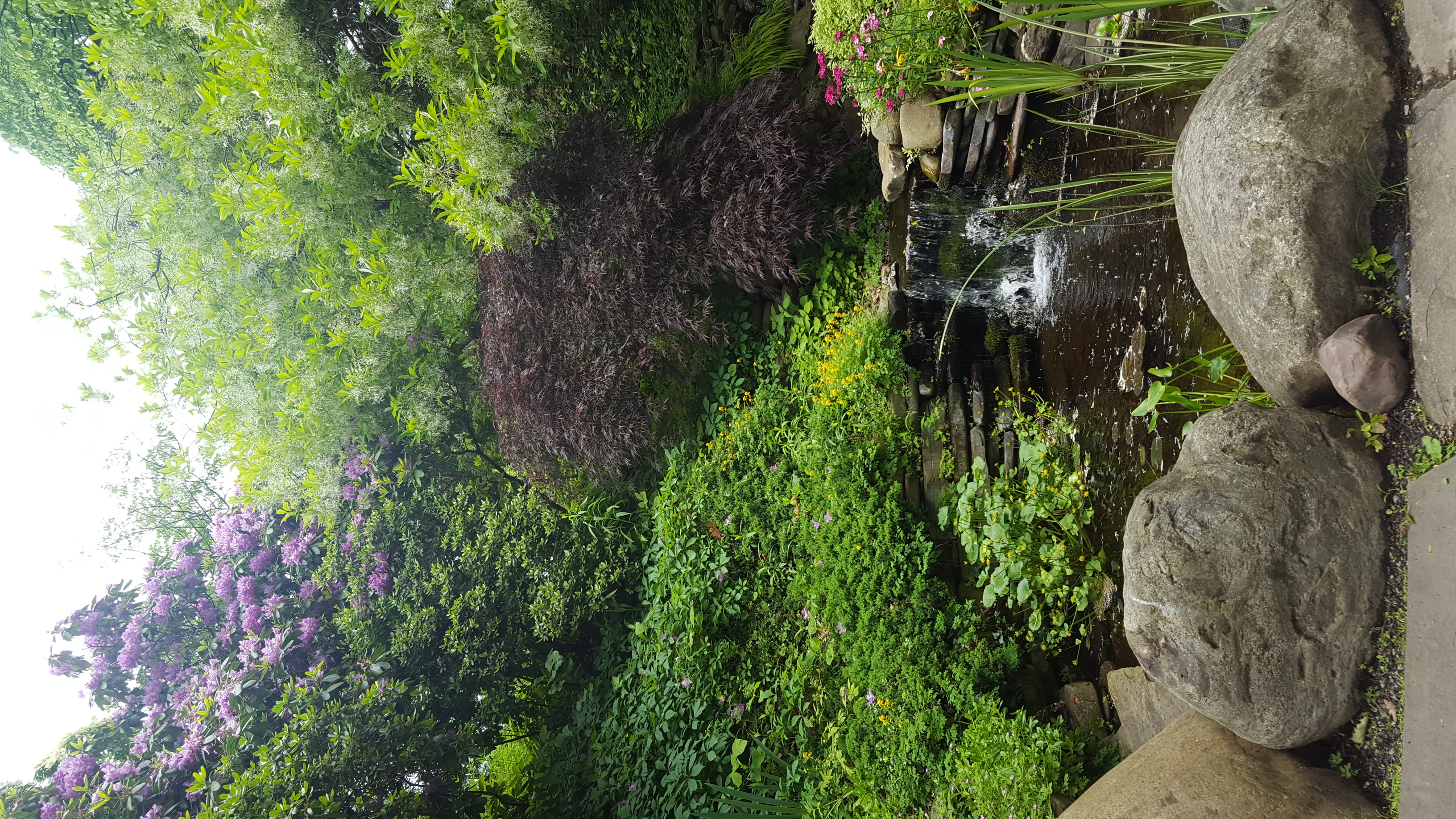Floral Pond