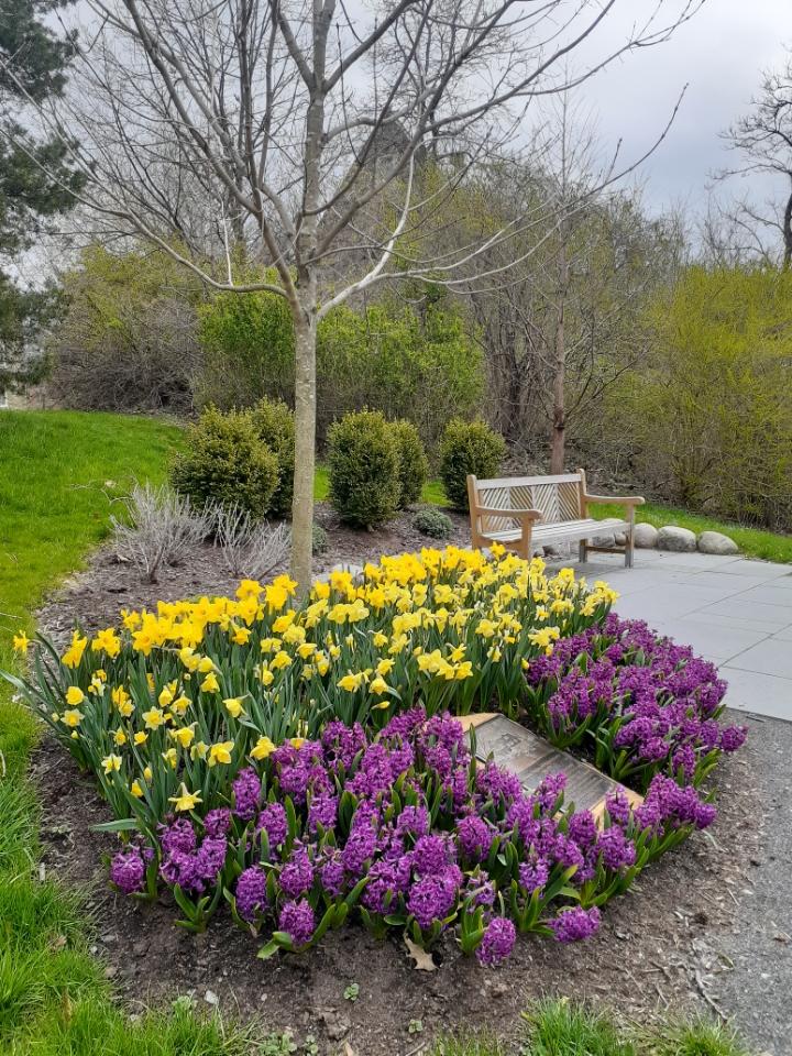 Floral Beds