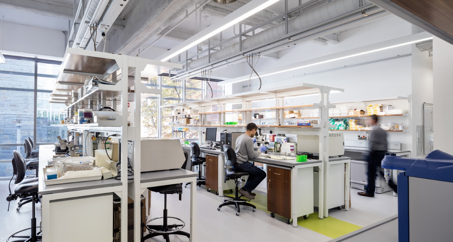 Picture of lab