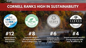 Cornell sustainability ranking