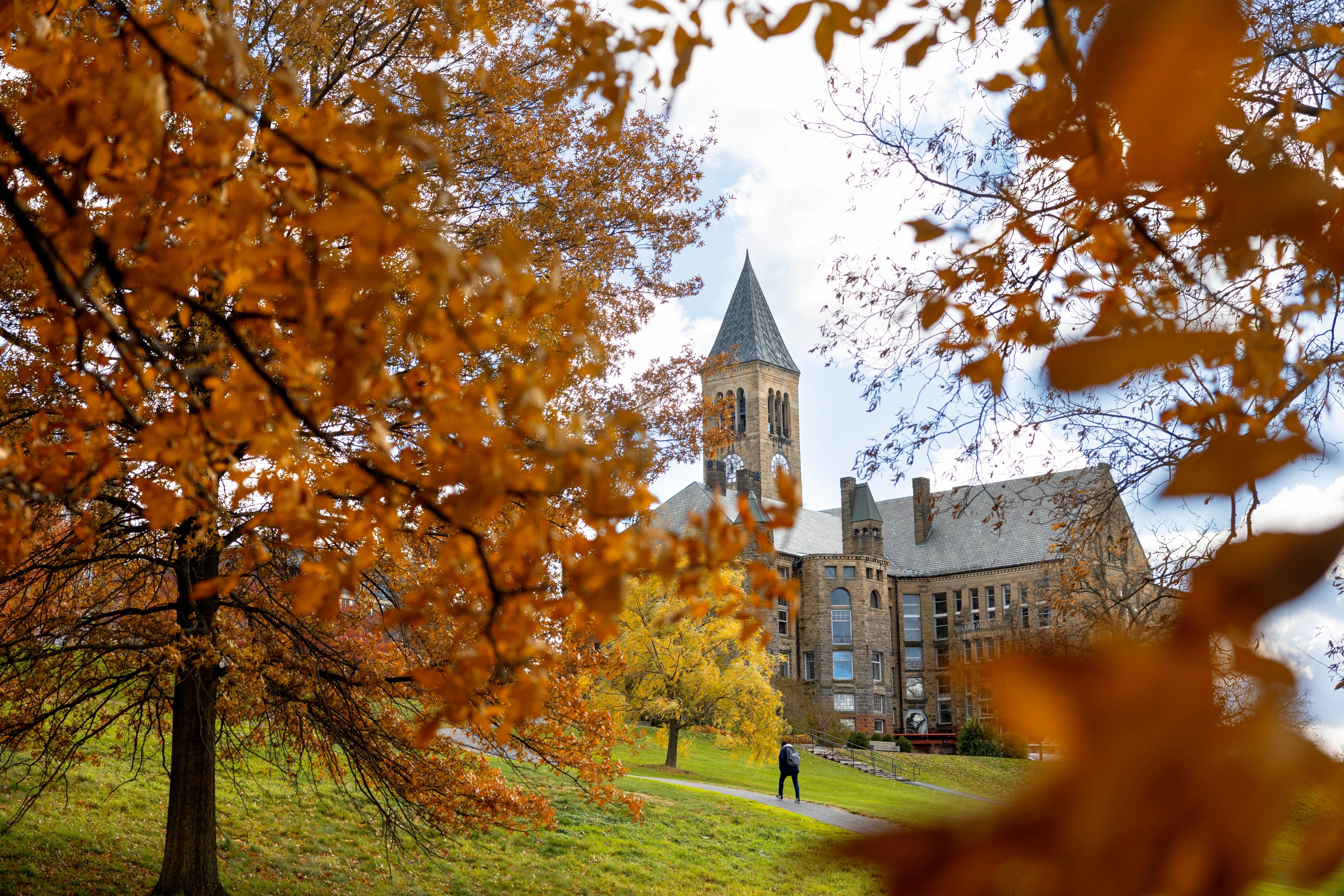 Libe Slope in fall