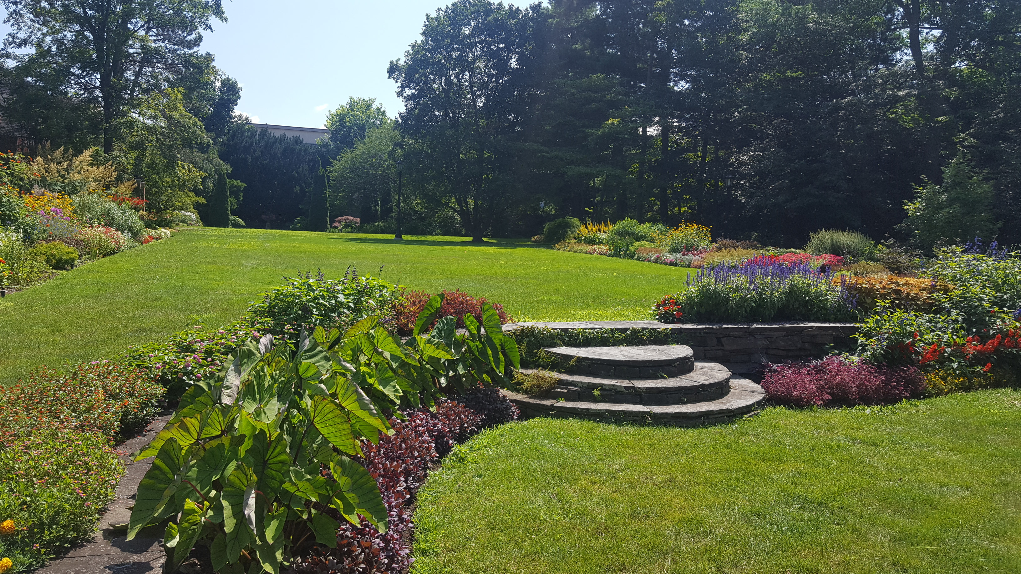 Garden with hardscape