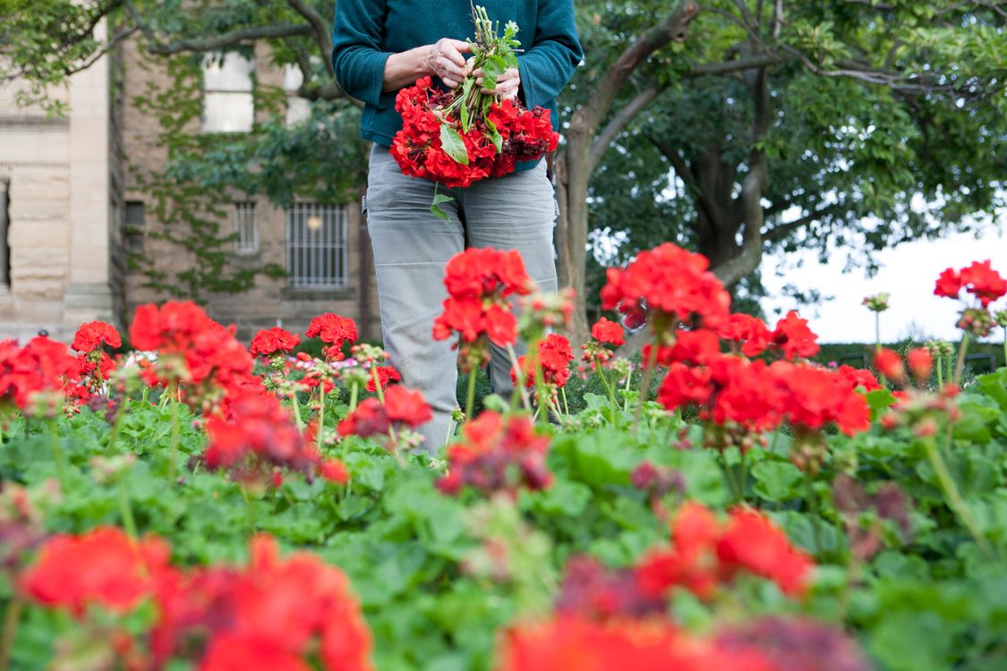 Grounds tending garden bed