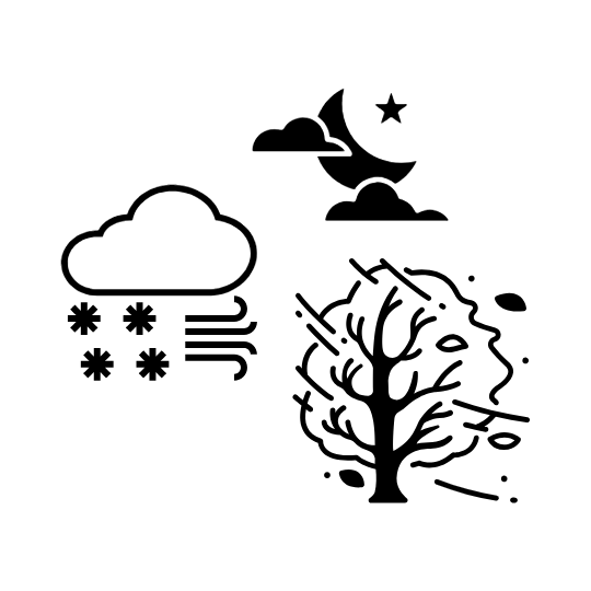 graphic of a snow cloud, moon with clouds, and wind blowing a tree
