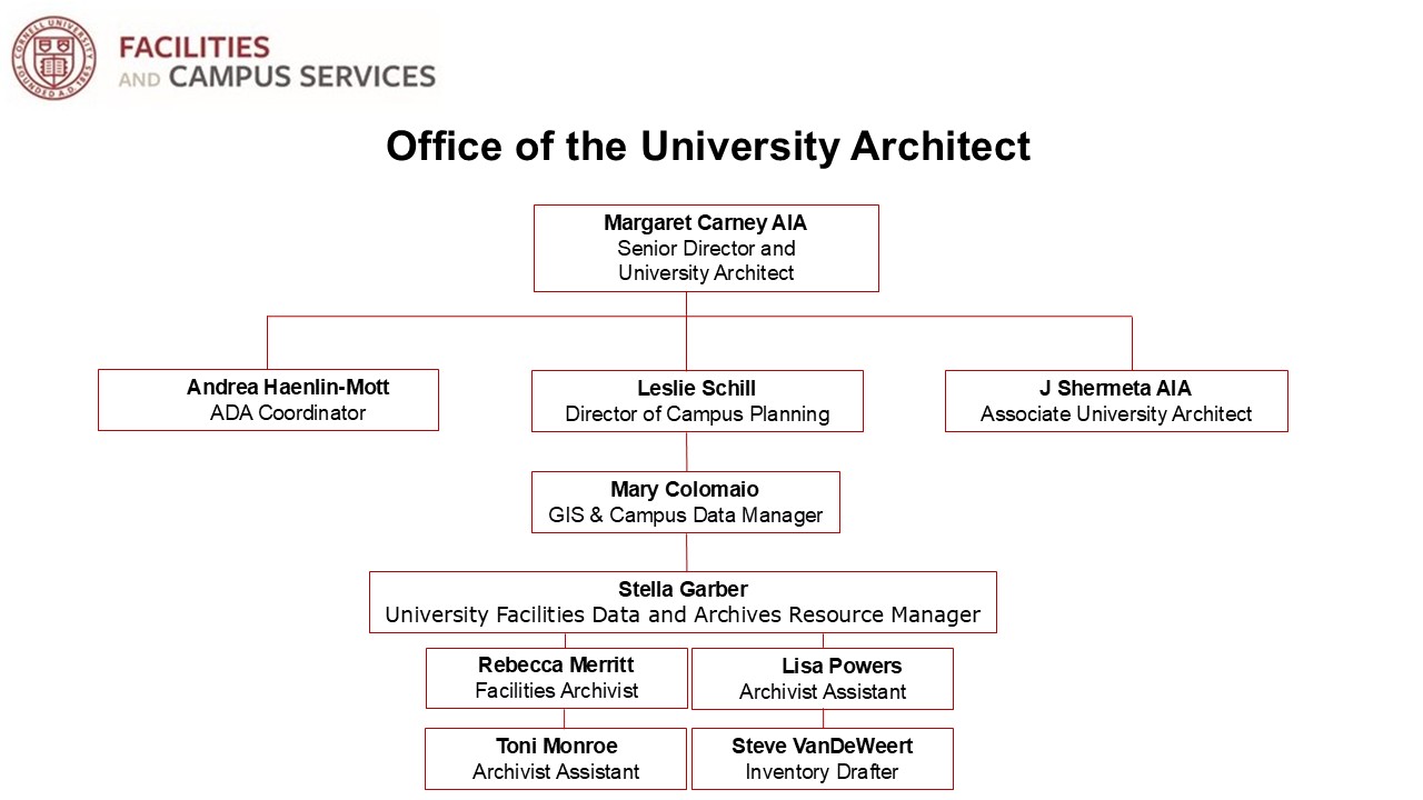 Org Chart OUA